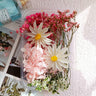 Dried Flower Ita Bag DIY Materials Kit