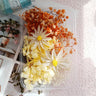 Dried Flower Ita Bag DIY Materials Kit
