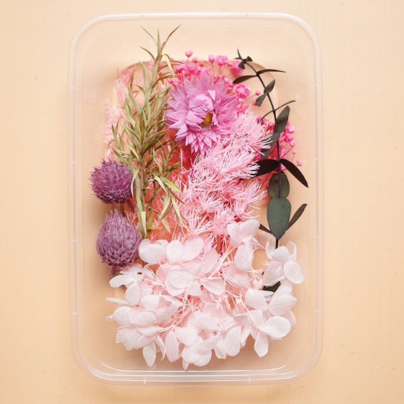 Preserved Flowers for Crafts Other Decoration