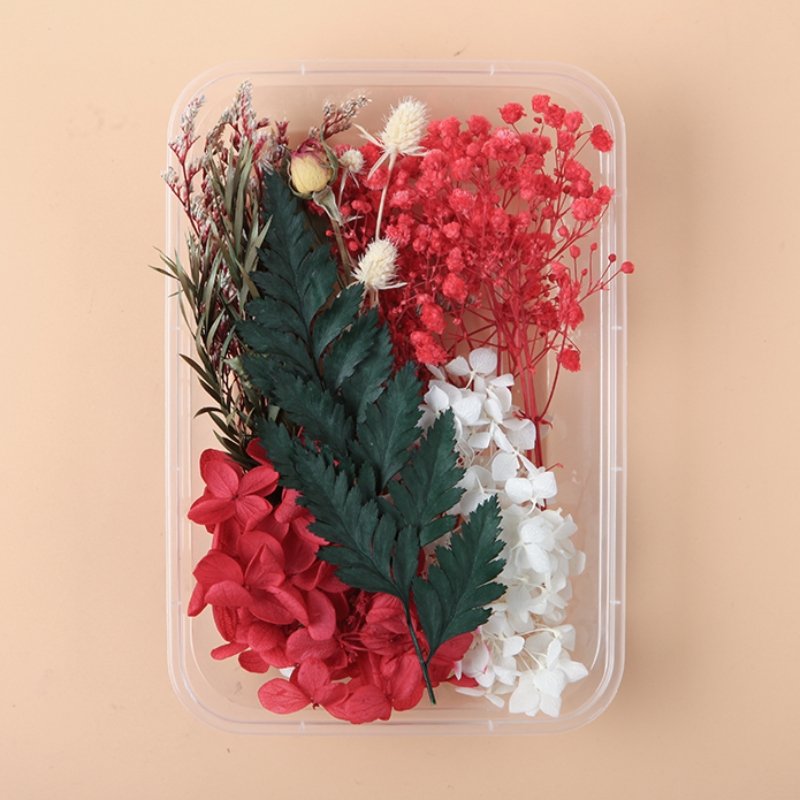 Preserved Flowers for Crafts Other Decoration