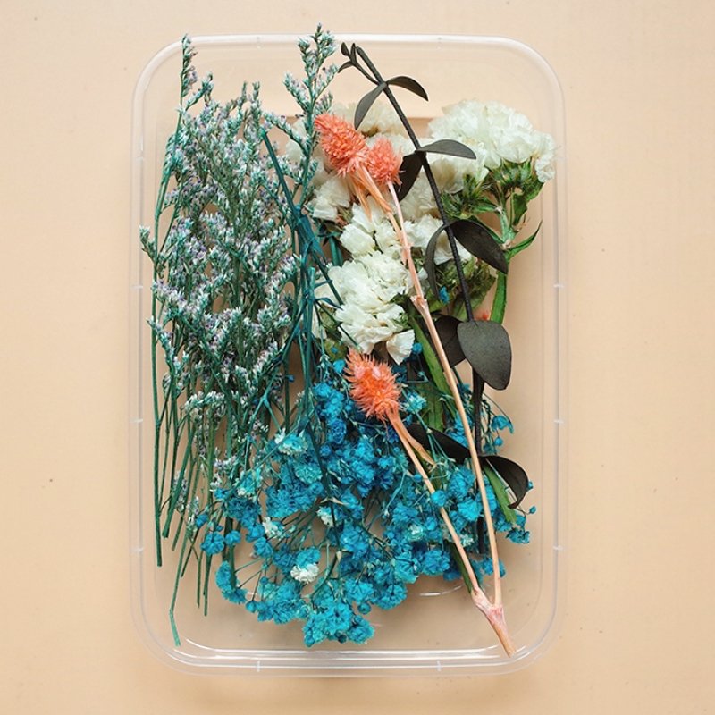 Preserved Flowers for Crafts Other Decoration