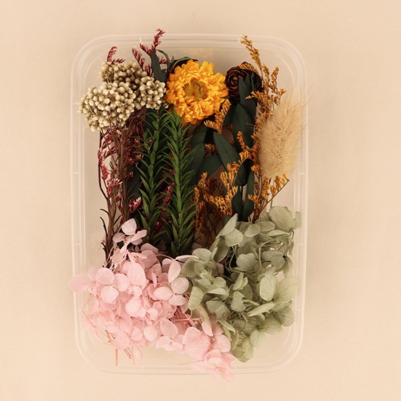 Preserved Flowers for Crafts Other Decoration