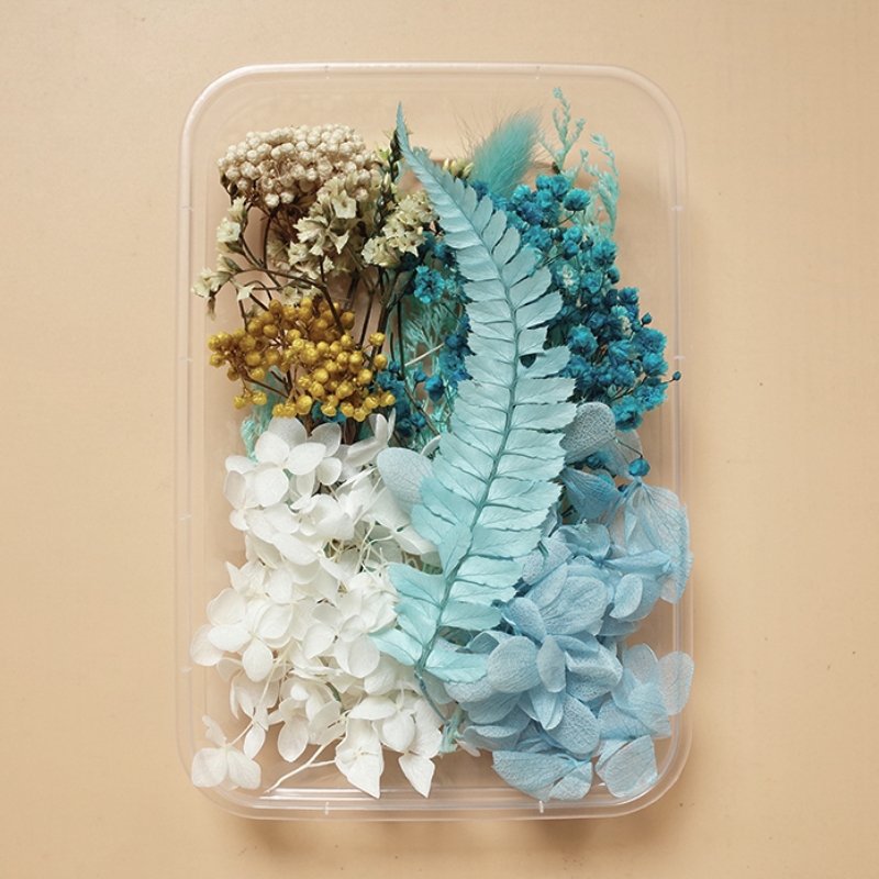 Preserved Flowers for Crafts Other Decoration