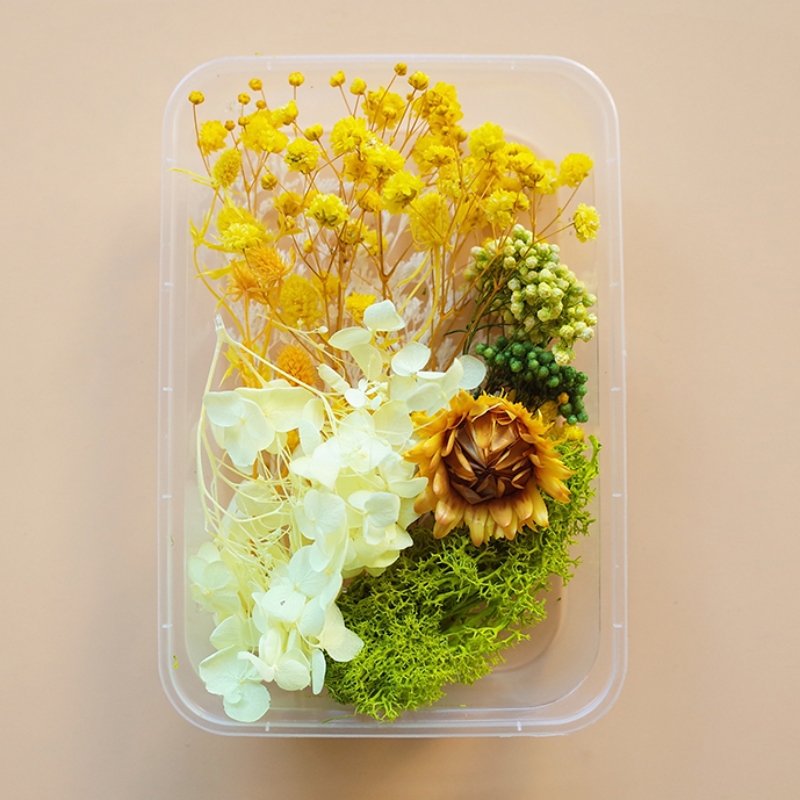 Preserved Flowers for Crafts Other Decoration