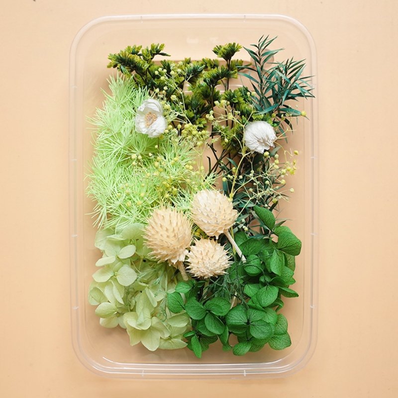 Preserved Flowers for Crafts Other Decoration