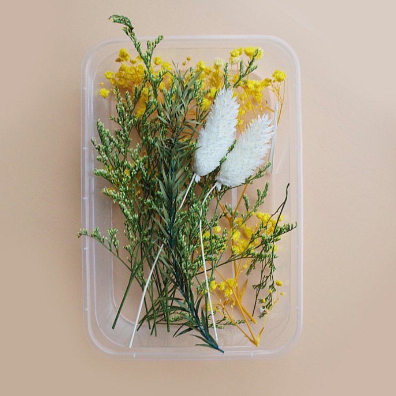 Preserved Flowers for Crafts Other Decoration