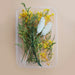 Preserved Flowers for Crafts Other Decoration