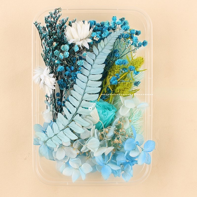 Preserved Flowers for Crafts Other Decoration