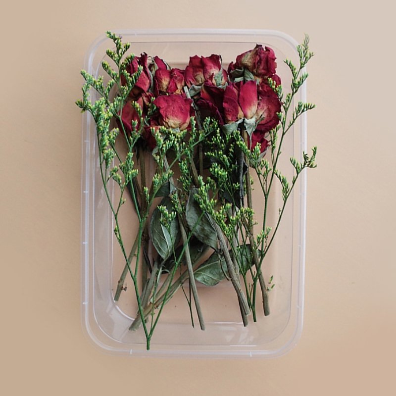 Preserved Flowers for Crafts Other Decoration