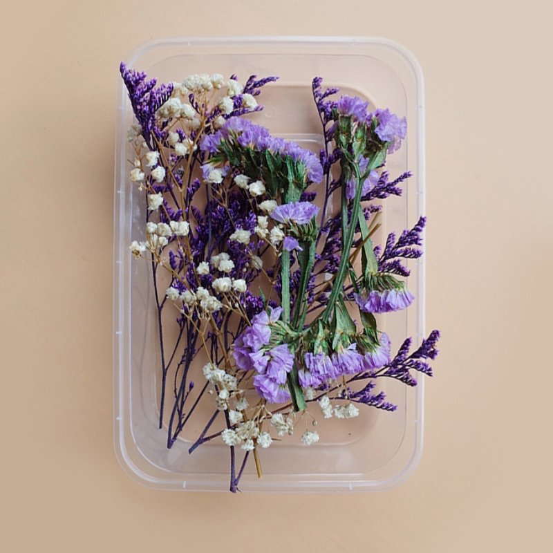 Preserved Flowers for Crafts Other Decoration