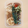 Preserved Flowers for Crafts Other Decoration