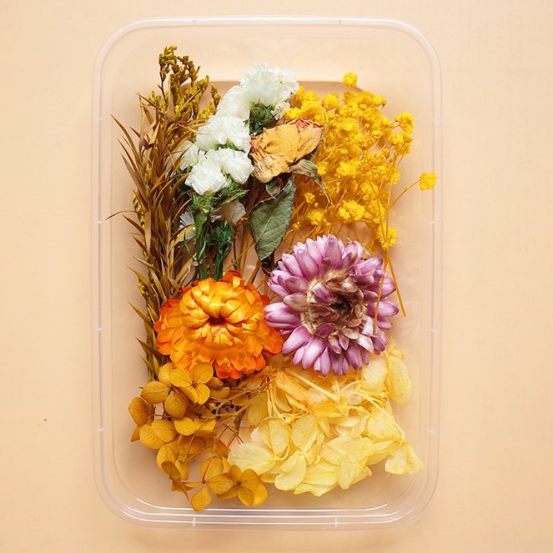 Preserved Flowers for Crafts Other Decoration