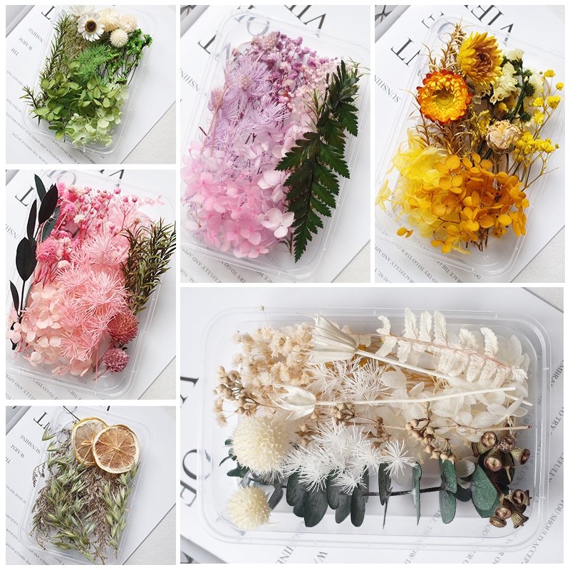 Preserved Flowers for Crafts Other Decoration