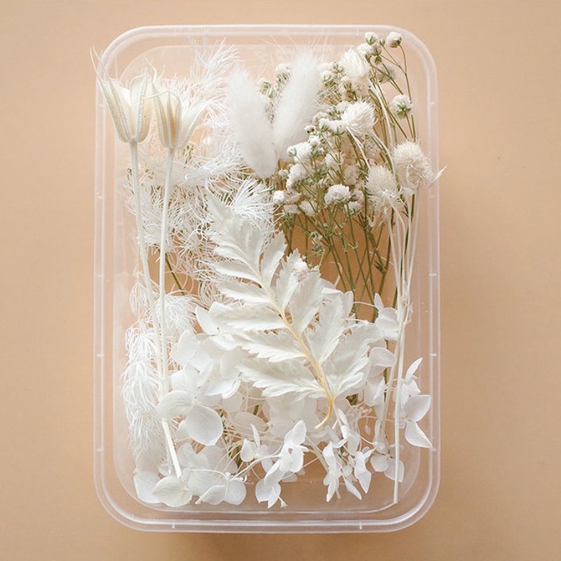 Preserved Flowers for Crafts Other Decoration