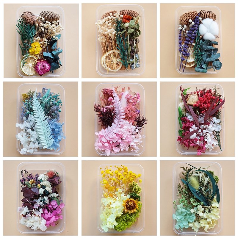 Preserved Flowers for Crafts Other Decoration