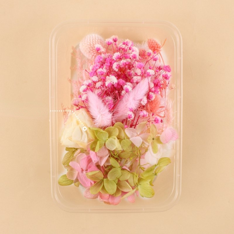 Preserved Flowers for Crafts Other Decoration