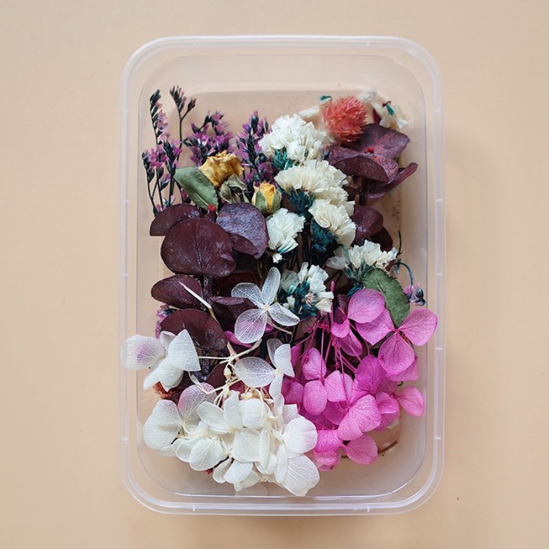 Preserved Flowers for Crafts Other Decoration