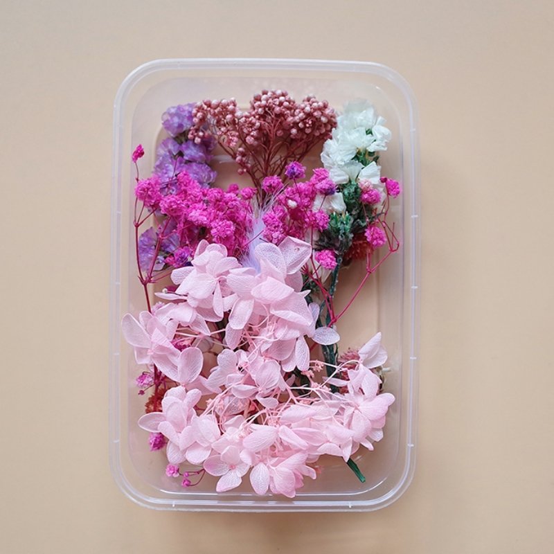 Preserved Flowers for Crafts Other Decoration