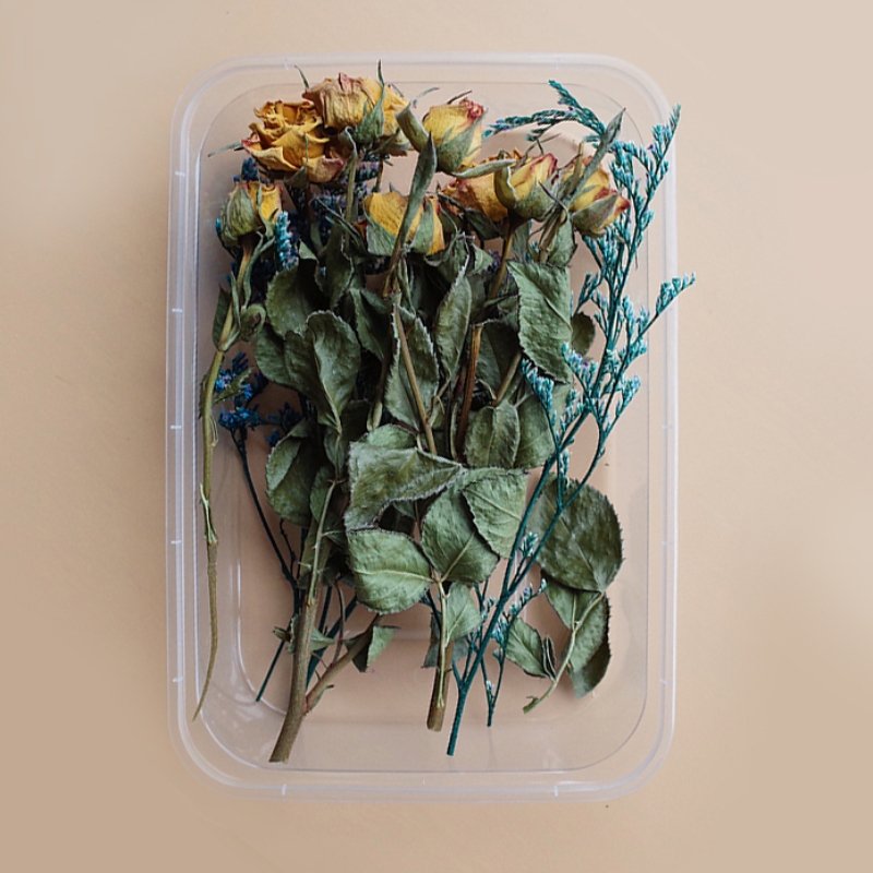 Preserved Flowers for Crafts Other Decoration