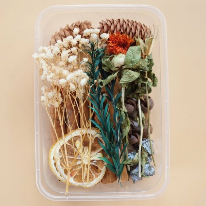 Preserved Flowers for Crafts Other Decoration