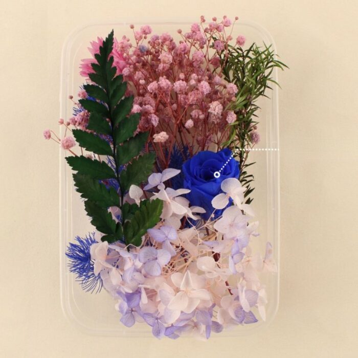 Preserved Flowers for Crafts Other Decoration